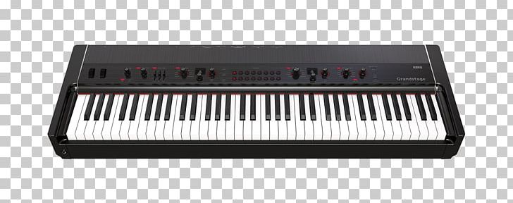 Digital Piano Stage Piano Korg Keyboard PNG, Clipart, Celesta, Digital Piano, Electric Piano, Electronic, Input Device Free PNG Download