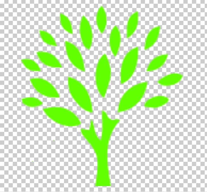 Go Green Auto Spa Portable Network Graphics Tree PNG, Clipart, Branch, Company, Flora, Grass, Grass Family Free PNG Download