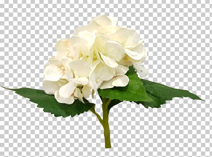 Hydrangea Cut Flowers Floral Design Gardenia PNG, Clipart, Cornales, Cut Flowers, Floral Design, Flower, Flower Bouquet Free PNG Download