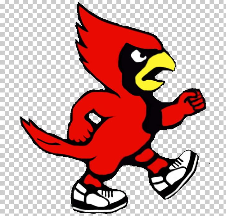 Louisville Cardinals Football St. Louis Cardinals Louisville Cardinals  Men's Basketball Cardinal Bird Mascot PNG, Clipart, Free