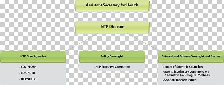 Organizational Structure National Toxicology Program Food And Drug Administration PNG, Clipart, Angle, Area, Brand, Business, Director Free PNG Download