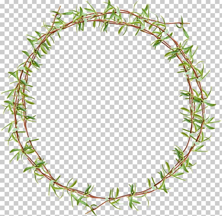 Plant Wreath Designer Rattan PNG, Clipart, Area, Calameae, Circle, Circle Frame, Circle Logo Free PNG Download