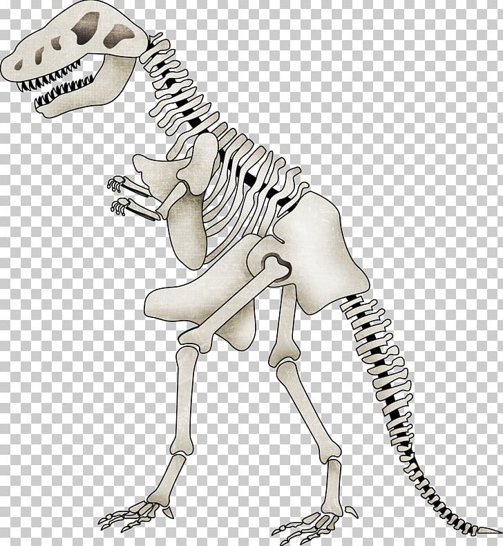 Tyrannosaurus Spinosaurus Skeleton Dinosaur PNG, Clipart, Balloon Cartoon, Bone, Boy Cartoon, Cartoon Character, Cartoon Couple Free PNG Download