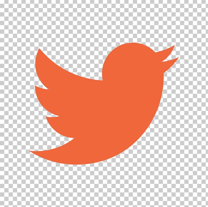 Logo Social Media United States Graphic Design PNG, Clipart, Beak, Bird, Chicken, Computer Icons, Graphic Design Free PNG Download