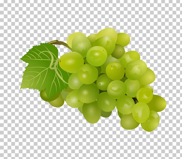 Sultana Grape Graphics Portable Network Graphics PNG, Clipart, Draw Clipart, Drawing, Food, Fruit, Fruit Nut Free PNG Download