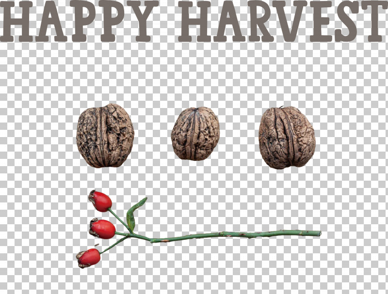 Happy Harvest Harvest Time PNG, Clipart, Happy Harvest, Harvest Time, Meter, Walnut Free PNG Download