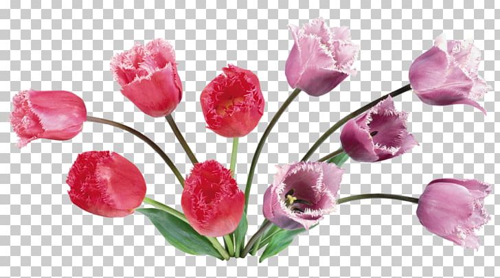 Animation Blog PNG, Clipart, Ansichtkaart, Artificial Flower, Birthday, Blog, Bouquet Of Flowers Free PNG Download