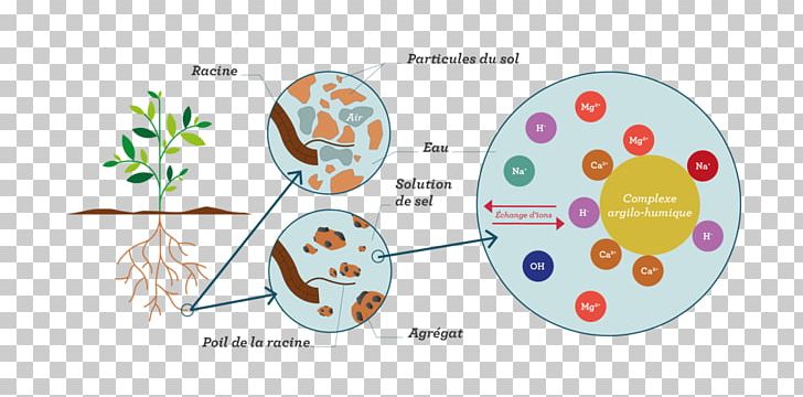 Brand Circle PNG, Clipart, Art, Brand, Circle, Diagram, Humus Free PNG Download