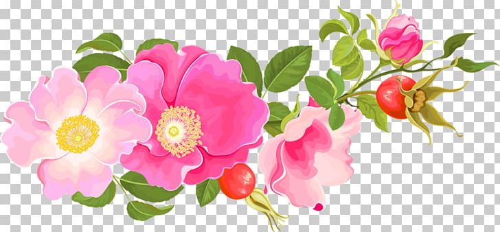 Garden Roses Centifolia Roses Floral Design Floribunda PNG, Clipart, Annual Plant, Art, Centifolia Roses, Cut Flowers, Desi Free PNG Download
