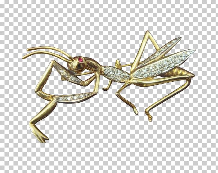 Insect 01504 Body Jewellery Brooch PNG, Clipart, 01504, Animals, Arthropod, Body Jewellery, Body Jewelry Free PNG Download