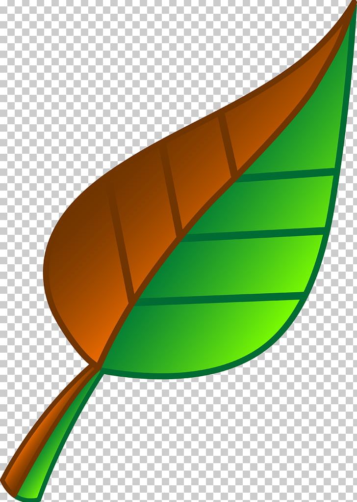Leaf Green PNG, Clipart, Angle, Art Green, Autumn, Autumn Leaf Color, Basil Free PNG Download