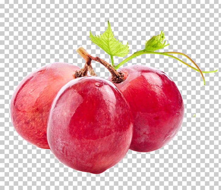 Wine Common Grape Vine Vitis Labrusca PNG, Clipart, Auglis, Berry, Cranberry, Decorative, Decorative Background Free PNG Download