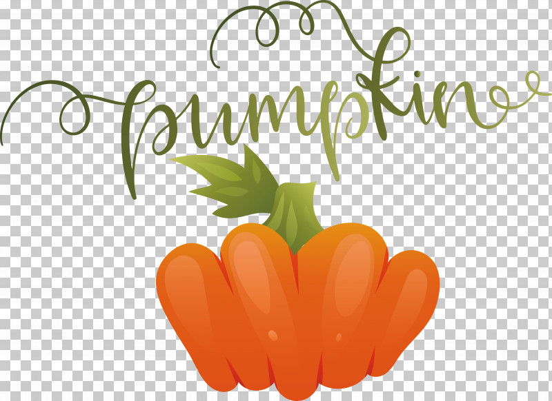 Pumpkin PNG, Clipart, Autumn, Pumpkin Free PNG Download