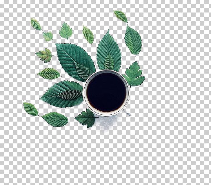 Coffee Icon PNG, Clipart, Adobe Illustrator, Arabic, Beer Mug, Beer Mugs, Black Free PNG Download