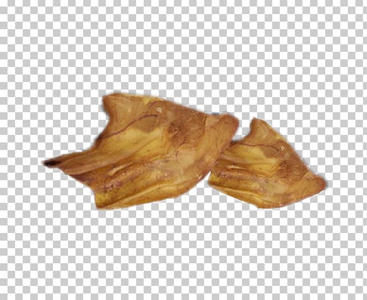 Pig's Ear Wood /m/083vt PNG, Clipart,  Free PNG Download
