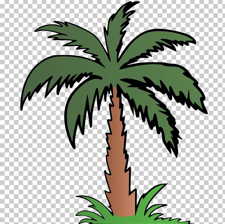 Arecaceae Color PNG, Clipart, Arecaceae, Arecales, Ball, Beach, Byte Free PNG Download