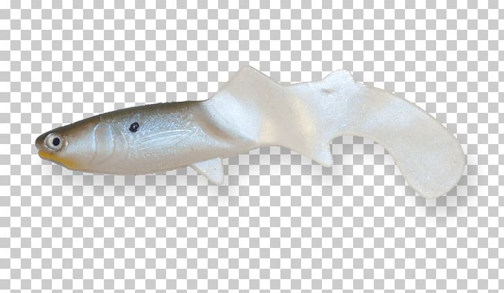 Fishery Jerky PNG, Clipart, Animals, Bait, Fish, Fishery, Fishing Bait Free PNG Download