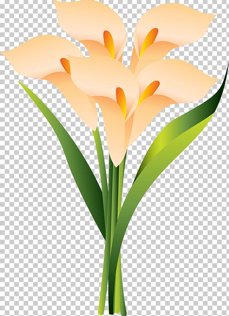 Floral Design Cut Flowers Plant Stem Flowerpot PNG, Clipart, Art, Arum, Bouquet, Cut Flowers, Floral Design Free PNG Download
