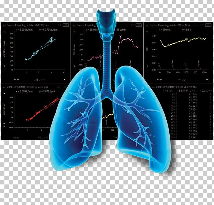 Photography Lung PNG, Clipart, Breathing, Electric Blue, Human Lung, Lung, Medical Free PNG Download