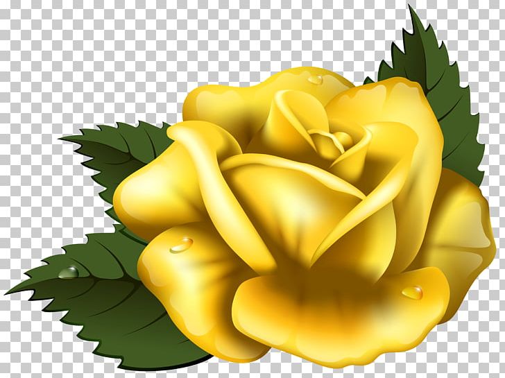 Best Roses Yellow PNG, Clipart, Art, Best Roses, Blog, Computer Wallpaper, Download Free PNG Download