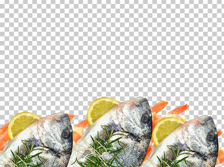 Fish Products Recipe Dish Network PNG, Clipart, Animals, Animal Source Foods, Dish, Dish Network, Fish Free PNG Download
