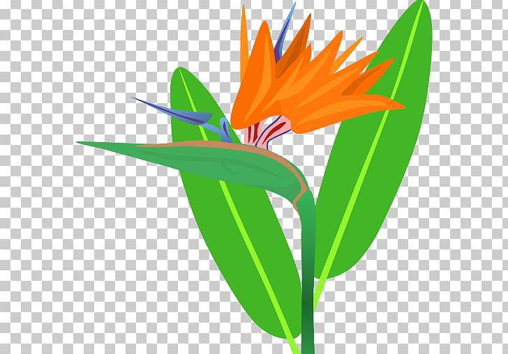Petal Butterfly Leaf Plant Stem PNG, Clipart, Bird, Bird Of Paradise, Butterflies And Moths, Butterfly, Cartoon Free PNG Download
