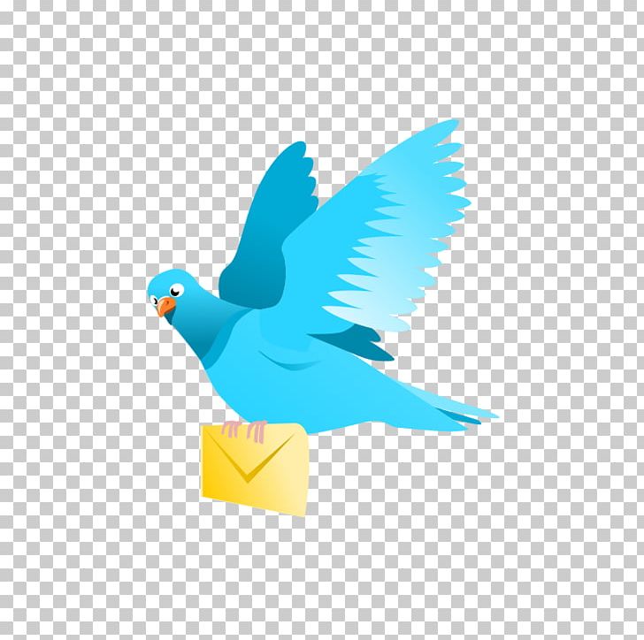 Bird Columbidae Domestic Pigeon Domestic Canary PNG, Clipart, Animals, Beak, Bird, Bird Flight, Bluebird Free PNG Download