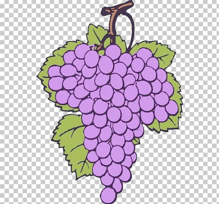 Common Grape Vine Wine PNG, Clipart, Attractive, Creative Art, Flower, Flower Arranging, Food Free PNG Download