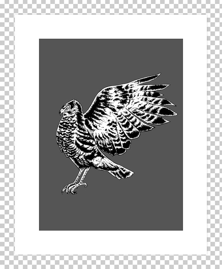 Drawing PNG, Clipart, Animals, Art, Art Print, Beak, Bird Free PNG Download