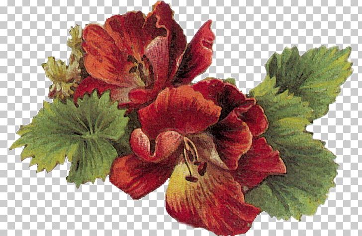 Floral Design Flower PNG, Clipart, Annual Plant, Art, Basket, Clip, Cut Flowers Free PNG Download