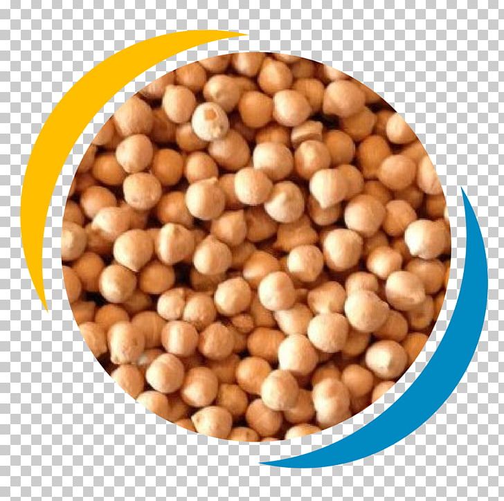 Hazelnut Commodity Superfood Ingredient Bean PNG, Clipart, Bean, Chick Peas, Commodity, Food, Hazelnut Free PNG Download