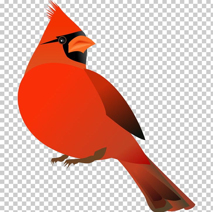 Northern Cardinal Free Content Website PNG, Clipart, Beak, Bird, Blog, Cardinal, Com Free PNG Download