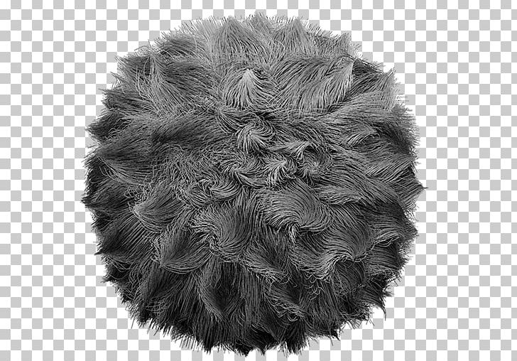 ZBrush Digital Sculpting Fur 3D Computer Graphics PNG, Clipart, 3d Computer Graphics, Animation, Black, Black And White, Brush Free PNG Download