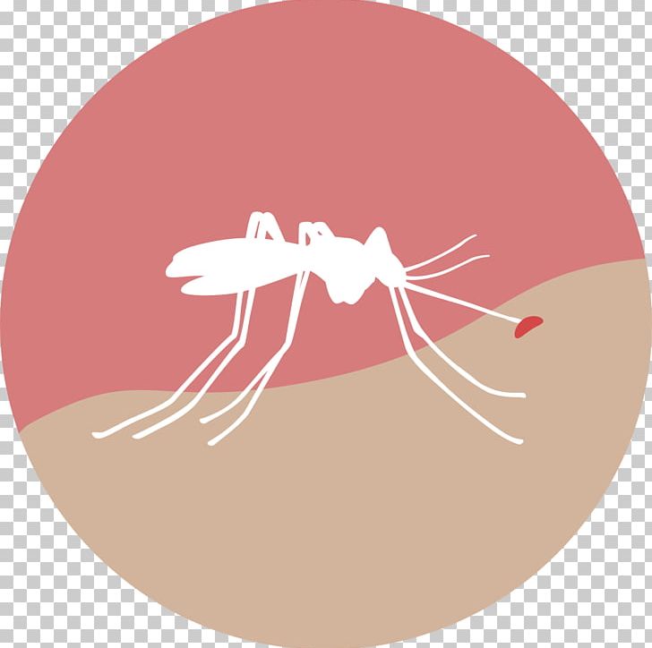 Zika Virus Health Mosquito Zika Fever Medicine PNG, Clipart, Blood In Blood Out, Circle, Complication, Health, Invertebrate Free PNG Download