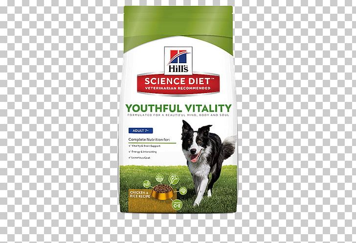 Dog Breed Cat Food Science Diet Hill's Pet Nutrition PNG, Clipart,  Free PNG Download