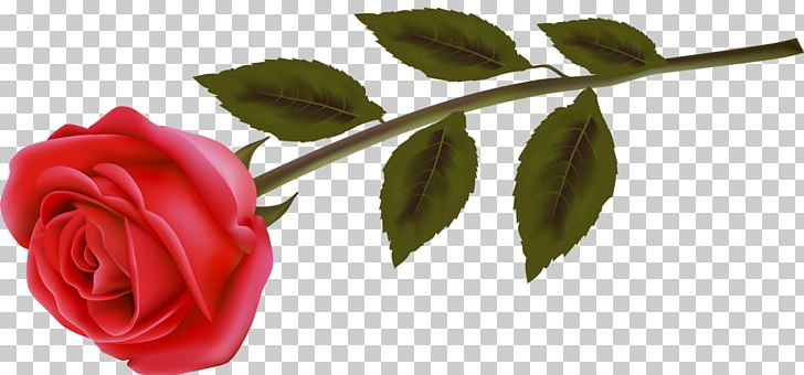 GIMP Painting PNG, Clipart, Art, Bud, Cut Flowers, Download, Encapsulated Postscript Free PNG Download