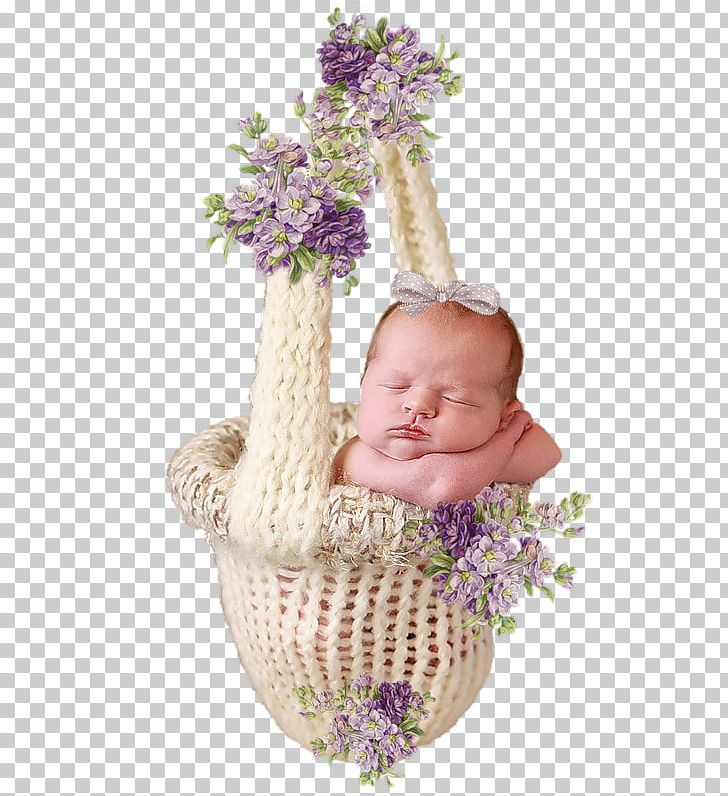 Infant Child PNG, Clipart, Baby, Basket, Birthday, Blessed, Child Free PNG Download