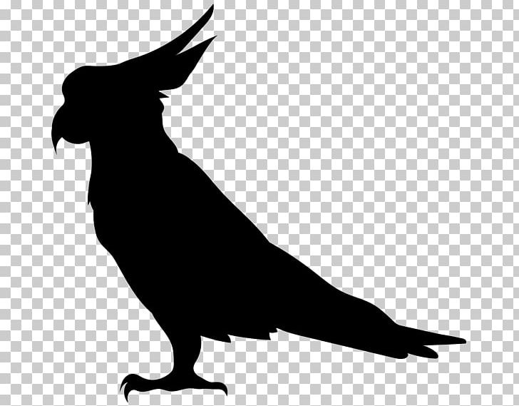 Silhouette PNG, Clipart, Arrow, Arrow Silhouette, Beak, Bird, Black And White Free PNG Download