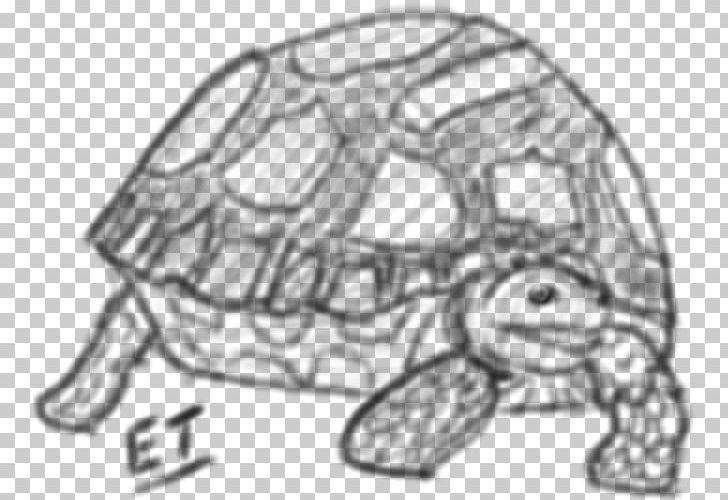 Tortoise Turtle Drawing 0 Sketch PNG, Clipart, 2017, 2018, Animals, Artwork, Automotive Design Free PNG Download
