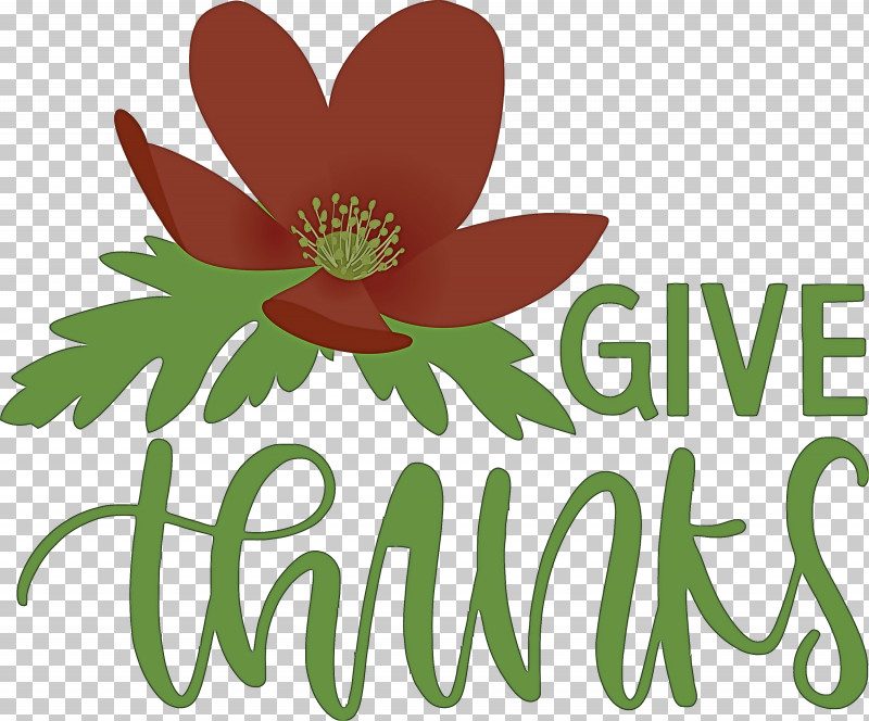 Thanksgiving Be Thankful Give Thanks PNG, Clipart, Be Thankful, Biology, Cut Flowers, Flora, Flower Free PNG Download