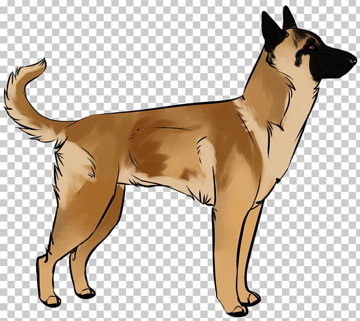 Dog Breed Canaan Dog Norwegian Lundehund German Shepherd New Guinea Singing Dog PNG, Clipart, Animals, Breed, Canaan Dog, Carnivoran, Cat Free PNG Download
