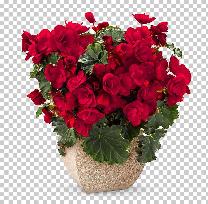 Floristry Flower Bouquet Rose Cut Flowers PNG, Clipart, Cut Flowers, Floristry, Flower Bouquet, Green Plants, Potted Free PNG Download