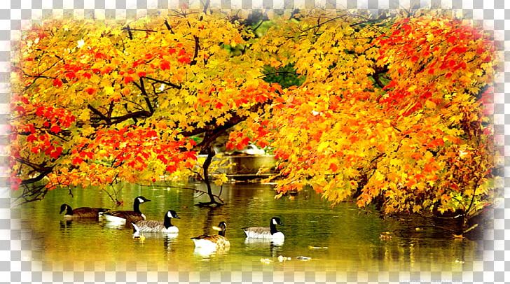 New York City Desktop Autumn PNG, Clipart, 1080p, Autumn, Autumn In New York, Desktop Wallpaper, Display Resolution Free PNG Download