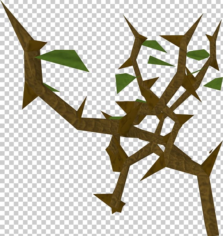 RuneScape Wiki Jungle Game PNG, Clipart, Angle, Branch, Copyright, Game, Jagex Free PNG Download