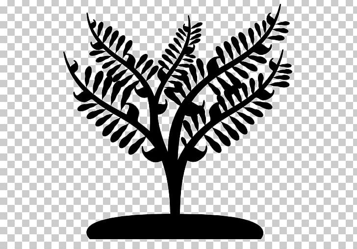 Tree Plant Computer Icons PNG, Clipart, Black And White, Branch, Computer Icons, Download, Encapsulated Postscript Free PNG Download
