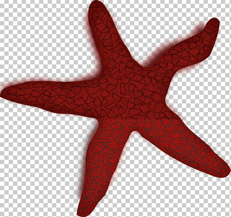 Starfish Red Star PNG, Clipart, Red, Star, Starfish Free PNG Download