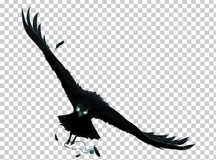 Anime Drawing Crows PNG, Clipart, Accipitriformes, Animal, Animals, Anime, Art Free PNG Download