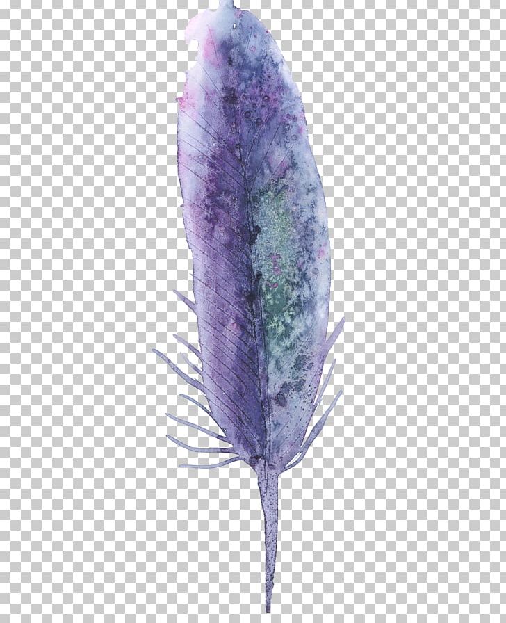 Purple Feather Watercolor Painting PNG, Clipart, Animals, Color, Feather, Feathers, Lavender Free PNG Download