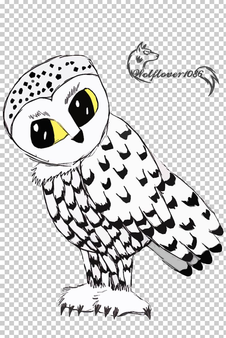 Bird Owl PNG, Clipart, Animal, Animals, Art, Artwork, Beak Free PNG Download