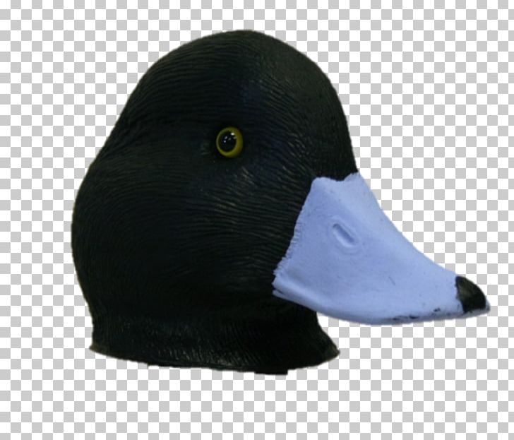 Duck Decoy Mallard Diving Duck PNG, Clipart, Aix, Animals, Beak, Bird, Canvasback Free PNG Download